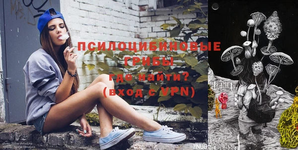 мдпв Навашино