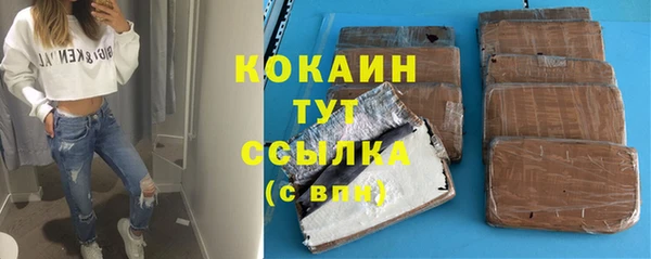 МДПВ Нефтегорск