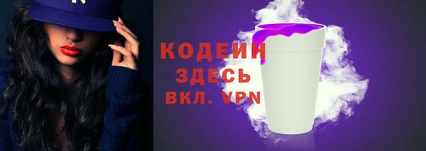 прущий лед Нея