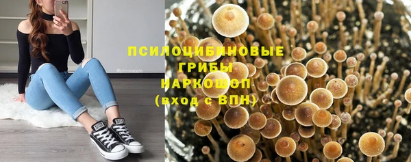 ешки Нефтекумск