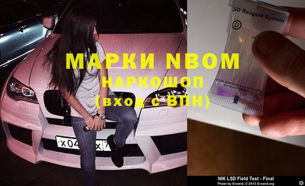 прущий лед Нея