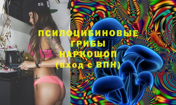 ешки Нефтекумск
