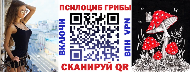 наркота Поронайск Псилоцибиновые грибы Psilocybine cubensis